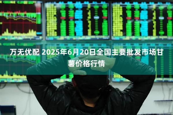 万无优配 2025年6月20日全国主要批发市场甘薯价格行情