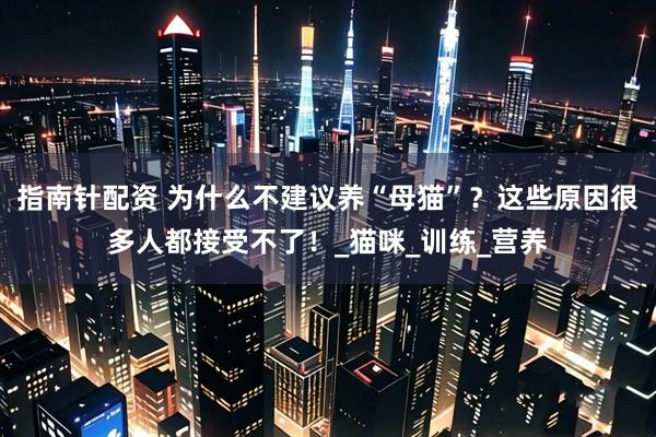 指南针配资 为什么不建议养“母猫”？这些原因很多人都接受不了！_猫咪_训练_营养