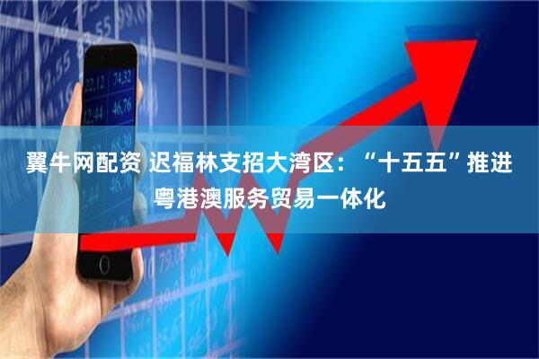 翼牛网配资 迟福林支招大湾区:“十五五”推进粤港澳服务贸易一体化