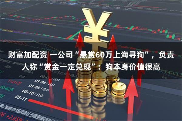 财富加配资 一公司“悬赏60万上海寻狗”，负责人称“赏金一定兑现”：狗本身价值很高